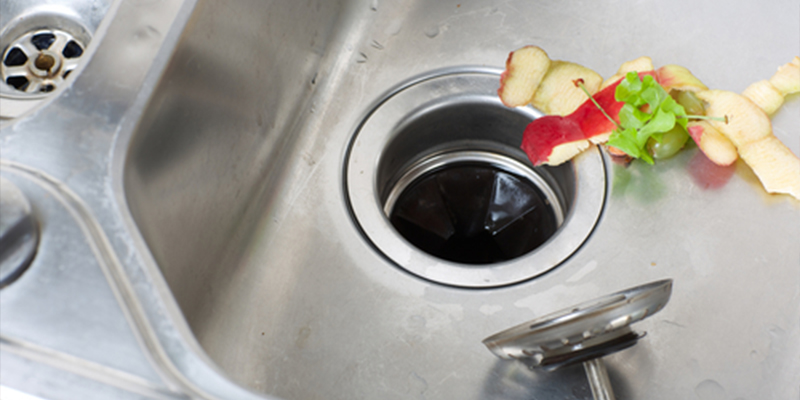 Food in Sink for Garbage Disposal